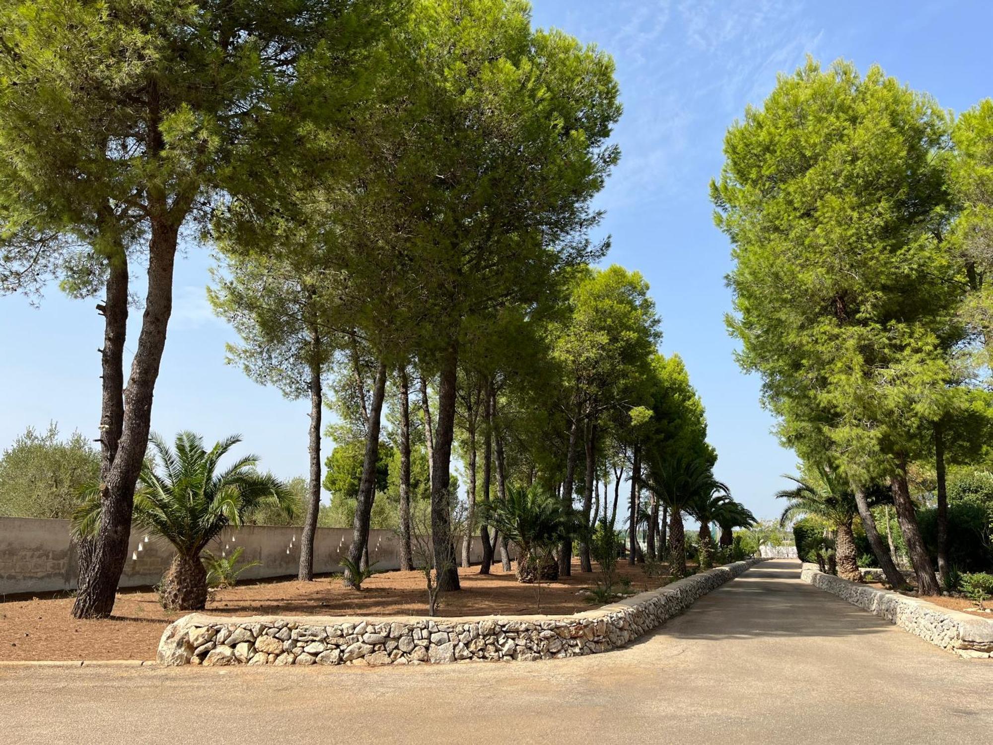 Casette Masseria La Camardia Sava Exterior photo