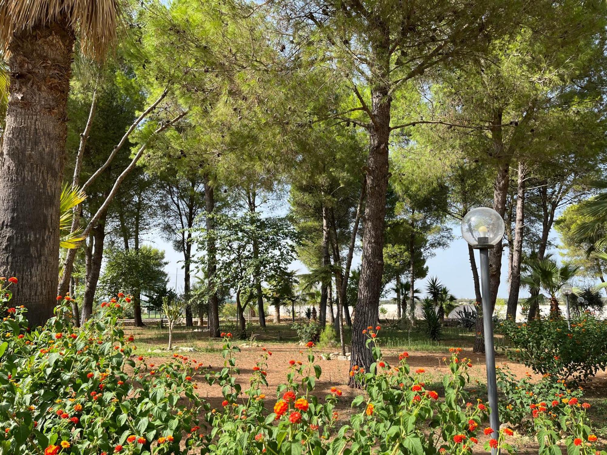 Casette Masseria La Camardia Sava Exterior photo