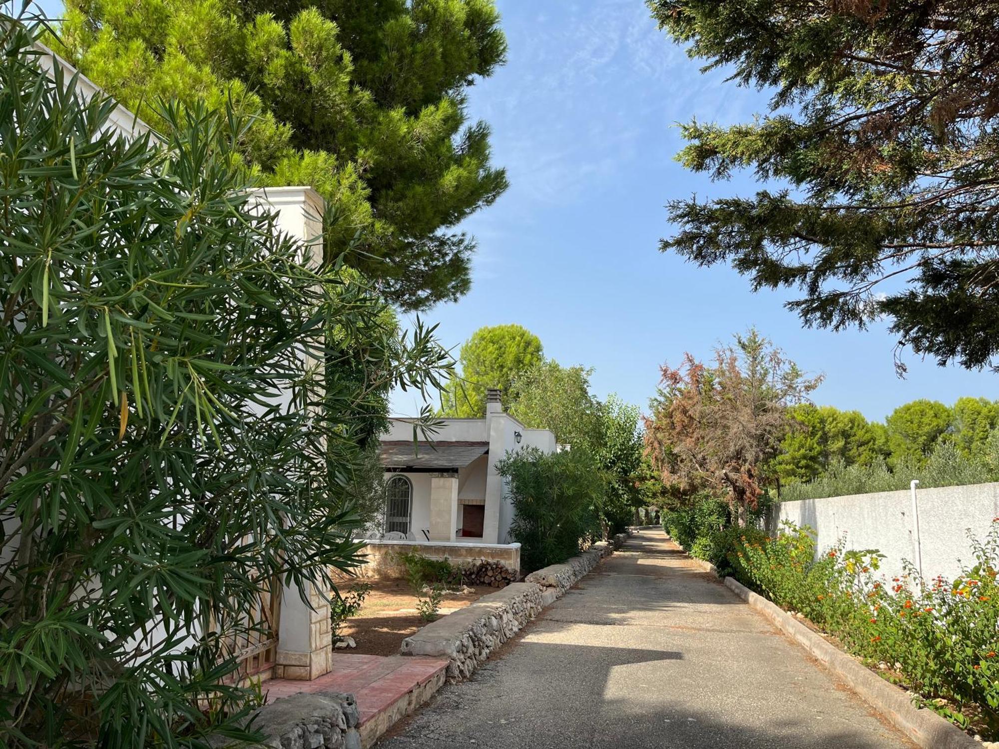 Casette Masseria La Camardia Sava Exterior photo