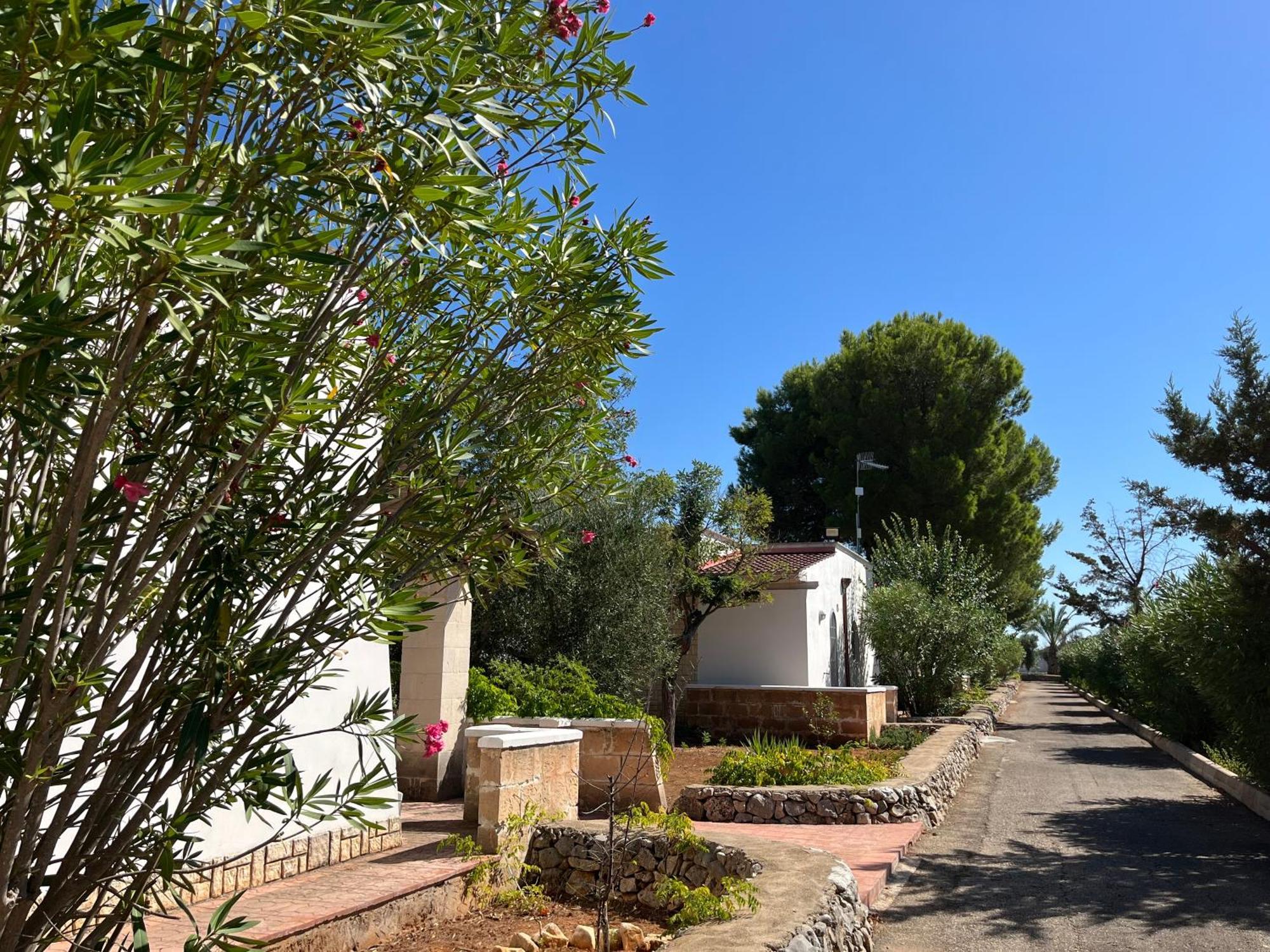 Casette Masseria La Camardia Sava Exterior photo